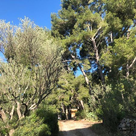 Apartament Les Pins Le Castellet  Zewnętrze zdjęcie