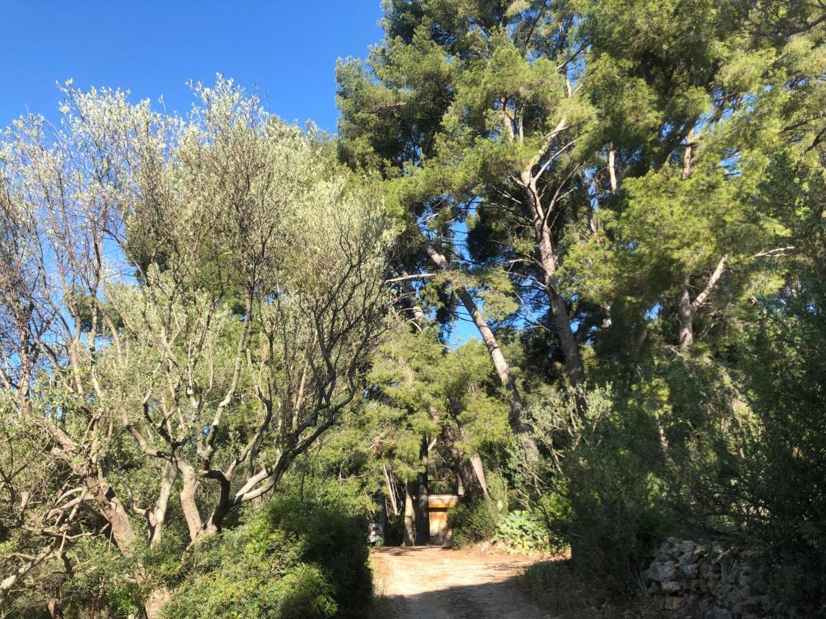 Apartament Les Pins Le Castellet  Zewnętrze zdjęcie